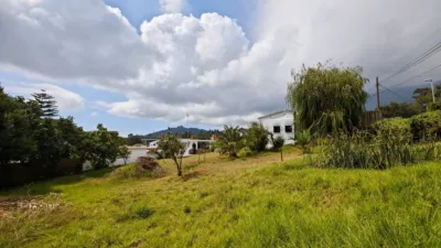 Rustic Finca on Teide Street photo 13
