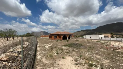 Chalet in Hondón de los Frailes photo 38