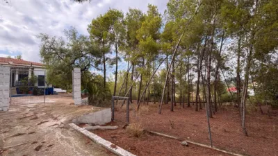 Chalet in the Valencian Community photo 18