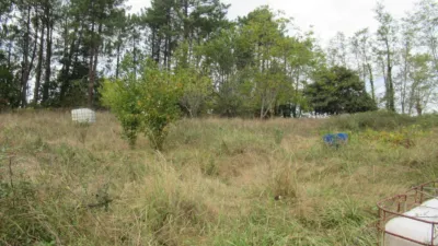Rustic Finca in Usansolo photo 8