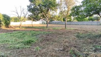 House in O Feal photo 24