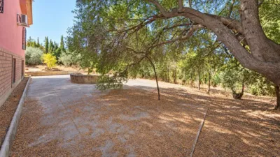 Rustic finca on Campiñuela Street photo 35