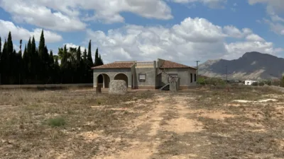 Chalet in Hondón de los Frailes photo 22
