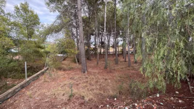 Chalet in the Valencian Community photo 20