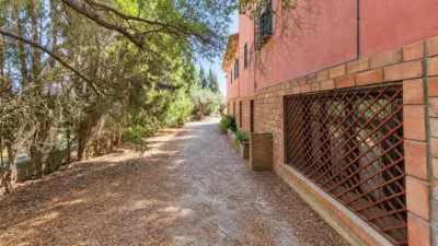 Rustic finca on Campiñuela Street photo 40