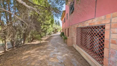 Rustic finca on Campiñuela Street photo 21