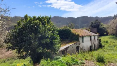 Chalet on Calle Sumio photo 4