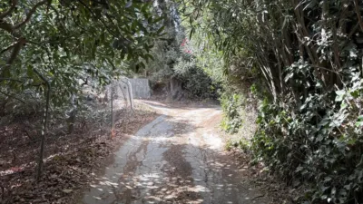 Rustic Finca in Coín photo 18