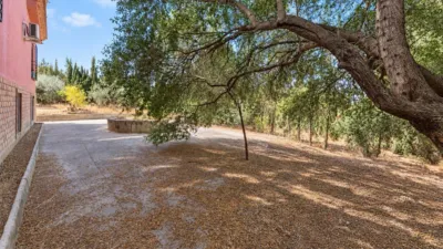 Rustic finca on Campiñuela Street photo 20
