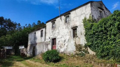 Chalet on Nabeiras Street photo 3