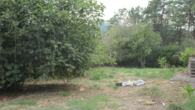 Rustic Finca in Usansolo photo 7