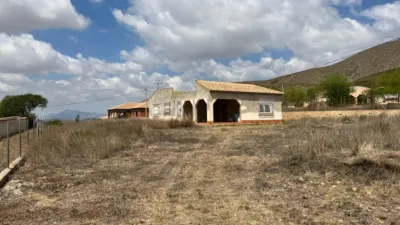 Chalet in Hondón de los Frailes photo 7