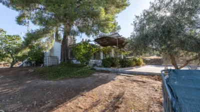 House on La Charca Street, No. S/N photo 3
