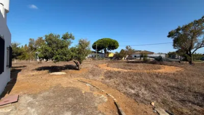 Rustic Finca in Pelagatos - Pago del Humo photo 18