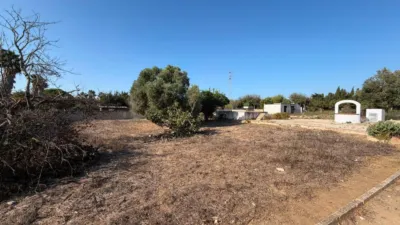 Rustic Finca in Pelagatos - Pago del Humo photo 14