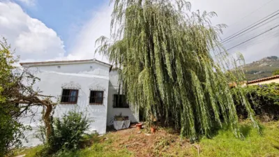 Rustic Finca on Teide Street photo 9