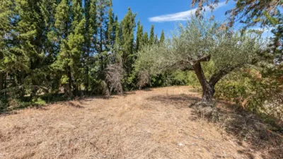 Rustic finca on Campiñuela Street photo 32