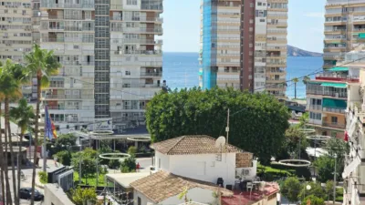 Apartment in the City Centre photo 3