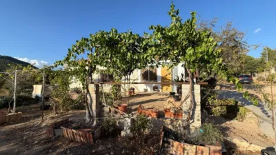 House on Partida Pla de Cuart Street photo 6