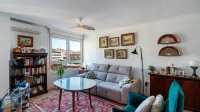 Apartment in Oliveros photo 19