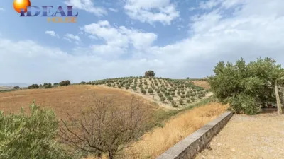 Chalet en South Of Spain photo 29