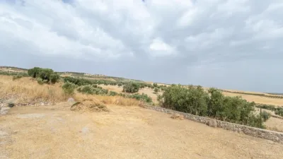 Chalet en South Of Spain photo 27