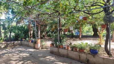 Rustic farm in the Valencian Community photo 2