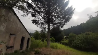 Rustic finca at Calle Cm Teixeiro-Pardiñeiras, No. 5 photo 11
