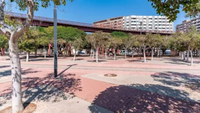 Apartment in Oliveros photo 32