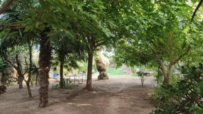 Rustic farm in the Valencian Community photo 6