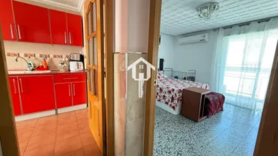 Apartment on Calle del Publicista José Tarí photo 26