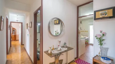 Apartment on Avenida Central photo 4