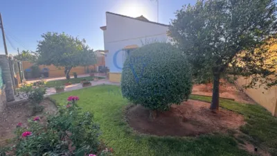 Rustic finca in Urbanización Jimena M photo 9
