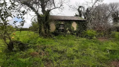 Rustic Finca on Piñeiro Loiba Street, No. 7 photo 30