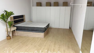 Flat on Calle de la Paz photo 13