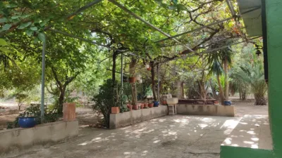 Rustic farm in the Valencian Community photo 7