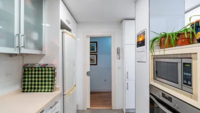 Apartment in Oliveros photo 17