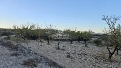 Chalet en Comunidad Valenciana photo 15