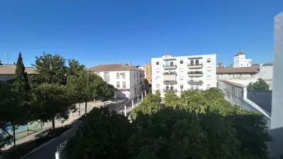 Apartment in Plaza de Compañía photo 2