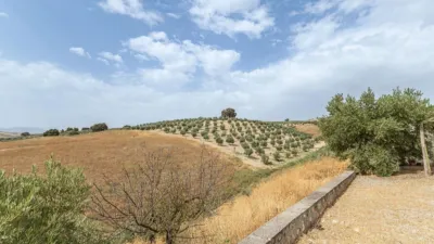 Chalet en South Of Spain photo 28