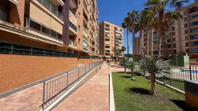 Apartment at Avenida del Medico Ricardo Ferre, 42 photo 20