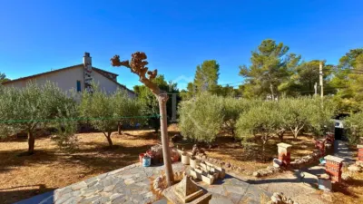 Chalet in Mas del Plata photo 16