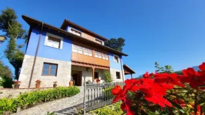 Rustic Finca in Costa Verde photo 6
