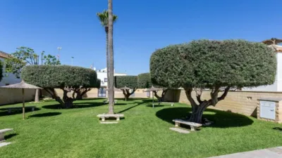 Apartment in Parque Las Naciones photo 9