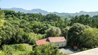 Rustic Finca in Costa Verde photo 21