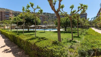 Apartment in Vistahermosa photo 33
