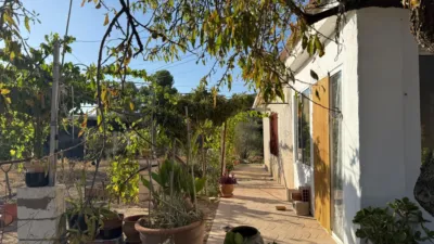 House on Partida Pla de Cuart Street photo 4