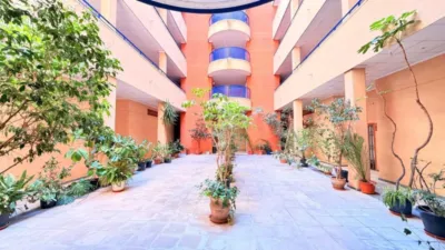 Apartment in Acequion photo 28
