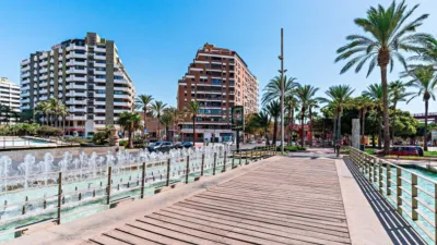 Apartment in Oliveros photo 30