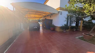 Rustic finca in Urbanización Jimena M photo 5
